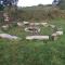 Higher Trenear Farm Yurts - Helston