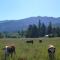 Hanmer Springs Scenic Views Motel