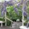 Leura Country Cottage