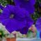Kalimera A Lovely 1-bedroom rental with ensuite and Kitchen