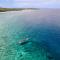 Seascapes Bira