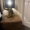 Safari Avenue one Bedroom Apartment
