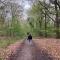 Stacaravan huren voor 4 personen in het hart van bosrijk Drenthe. Vele bezienswaardigheden en uitstapjes in de directie omgeving. Wees Welkom! (nr.254) - Schoonloo