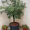 La Posada Townhouse with private parking