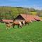 Gîte du cheval blanc - Arçon