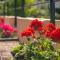 Aphrodite Apartment ideal for holidays in Siviri - 希维利
