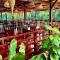 SpringRiver Resort
