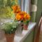 Apartman Diana