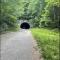 Lazy Bear Cabin near Nantahala Outdoor Center and Bryson City - Bryson City