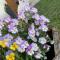 Appartement Buchwald -Obinghof-