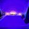 Suite romance - Jacuzzi - Moret-sur-Loing