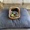 Camellia Cottage Pet Friendly Farm Stay
