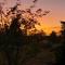 Camellia Cottage Pet Friendly Farm Stay
