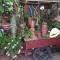 Tiki garden