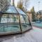 The Maple Ski-in Ski-out 1 Bed with Hot Tub and Pool