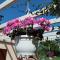 Apartments Anica with Parking