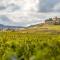 Douceurs des vignes du Vivian