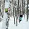 Chalet Falaise by Chalets NABU