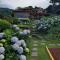 Finca Paraiso Mountain Retreat near San Jose Airport