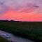 Tiny house De Veenpolder