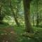 Ta Mill Cottages & Lodges - Meadowview Chalet 3