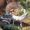 Majestic View Self Catering Guest House