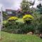 Majestic View Self Catering Guest House