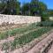 Catalunya Casas Rural charm on an olive farm in Costa Dorada! - Vespellá