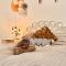 Wild Pines Waterfront Guesthouse BBQ Pet Friendly
