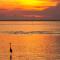 Salt Cured by Pristine Properties Vacation Rentals