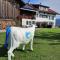 AlpenLodge Allgäu 5*