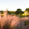Paradise Found by Pristine Properties Vacation Rentals - Highland View