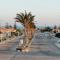 Villa at Amoun Resort - North Coast - Sidi Krir - Alexandria