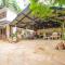 Mami Wata House