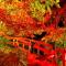 Ikaho Onsen Sanyo Hotel - Vacation STAY 26406v