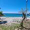 Apartments Ana i Ante Punta