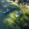 Monet's Pond by the Sea - Ladysmith