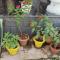 Moody moon residential home stay