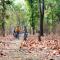 Tathastu Kanha