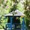The Hideaway Pod