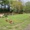 Country retreat near sea and South Downs, on National Cycle Network - Polegate