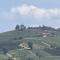 Country house in the Langhe with vineyard