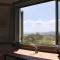 Admonis - Home in the olive grove