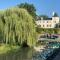 Domaine de l'Angélique - Loft avec SPA privatif - Marais poitevin entre Niort et La Rochelle - Arçais