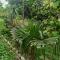 Lexo Guest house