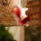 Art Boutique Hotel Acchiappasogni