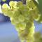 Weinhotel Hubertus Garni