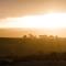 CABN Kangaroo Island