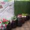 Appletree Guesthouse