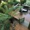 Sassafras Treehouse Private home in the Dandenong Ranges, Victoria - Sassafras